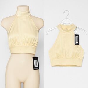 831 You Never Halter Satin Crop Top